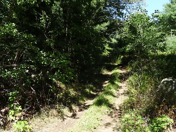 Trails everywhere!
