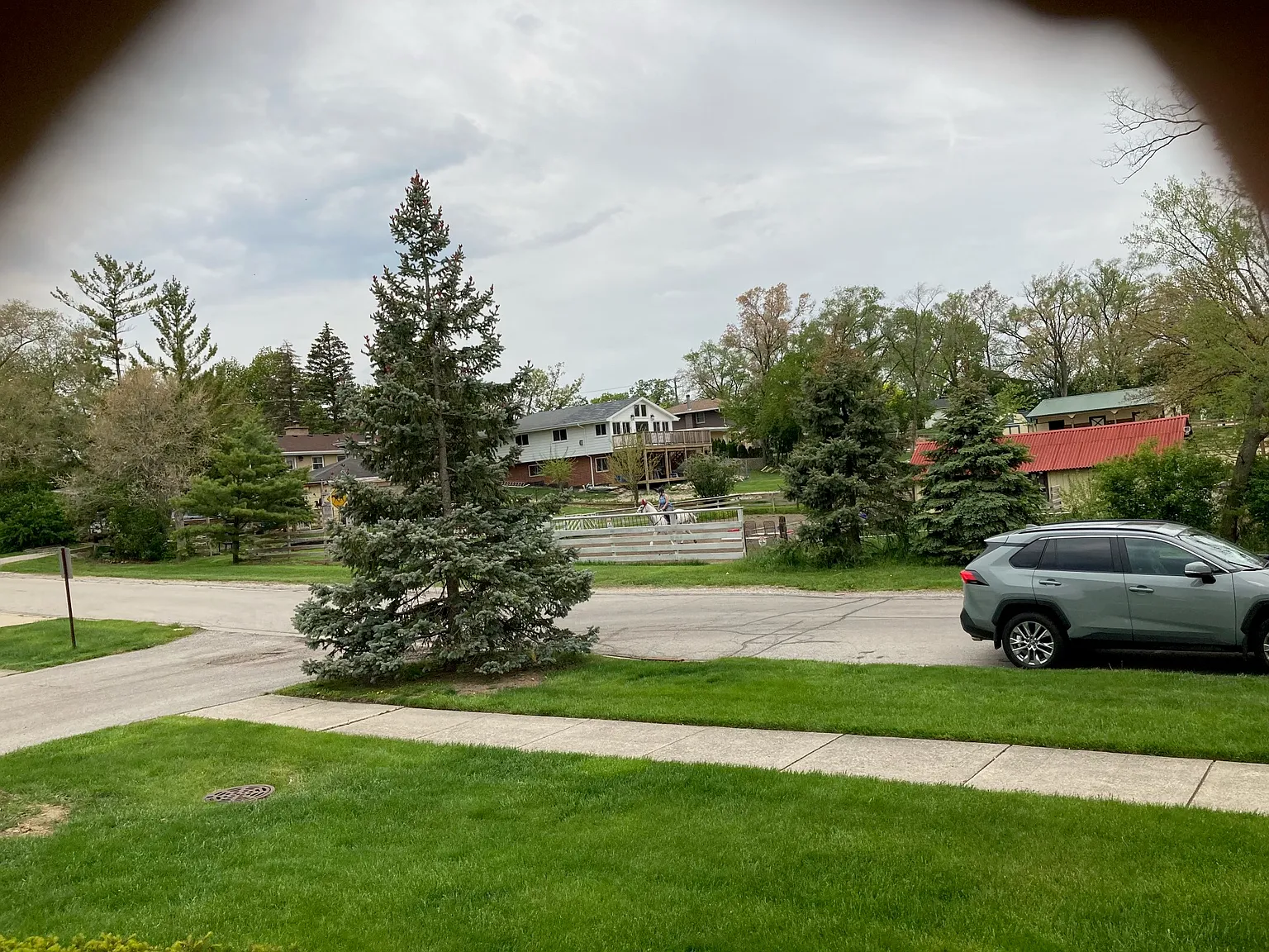 2 bed, 1000 sqft, $1,650 — Photo 2