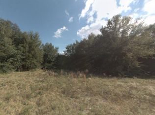 14375 SE 36th Ct LOT 19, Summerfield, FL 34491