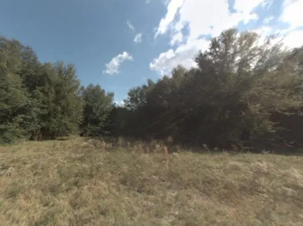 14375 SE 36th Ct Lot 19, Summerfield, FL 34491