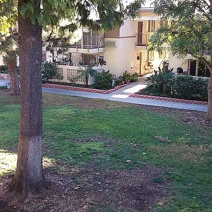 the parklike grounds 