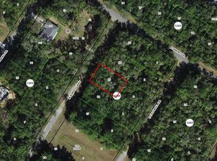 10063 N BAMBOO WAY LOT 19, CITRUS SPRINGS, FL 34434