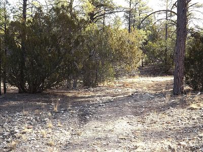 3341 Sawmill Ridge Loop, Heber, AZ, 85928