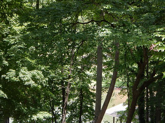 5th image of N Sequoyah Dr