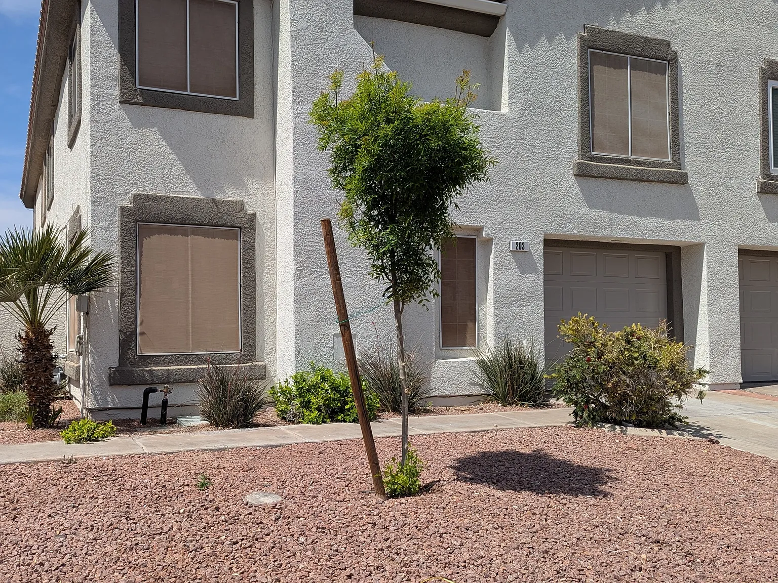 203 Oro Canyon Street - 1 — Photo 2