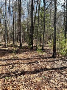 9 Lucas Farm Road, York, ME, 03909