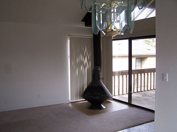 Wood burning fireplace