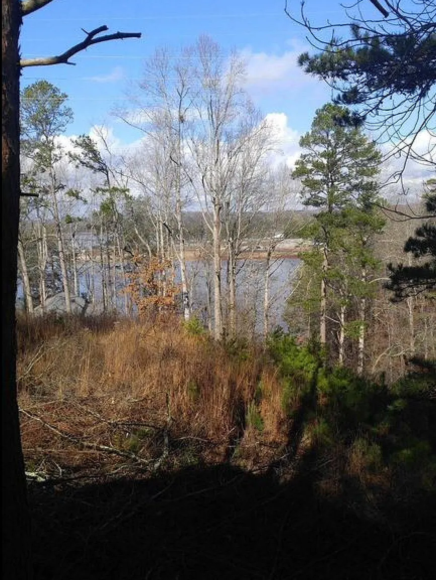 3 bed, 1176 sqft, $2,500 — Photo 3
