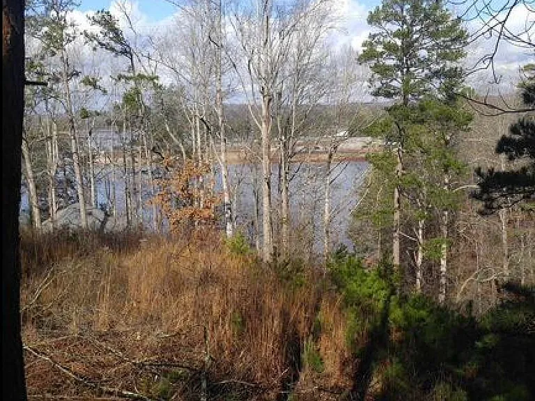 View from back porch