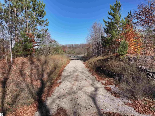 6884 Zue Rd, Buckley, MI 49620