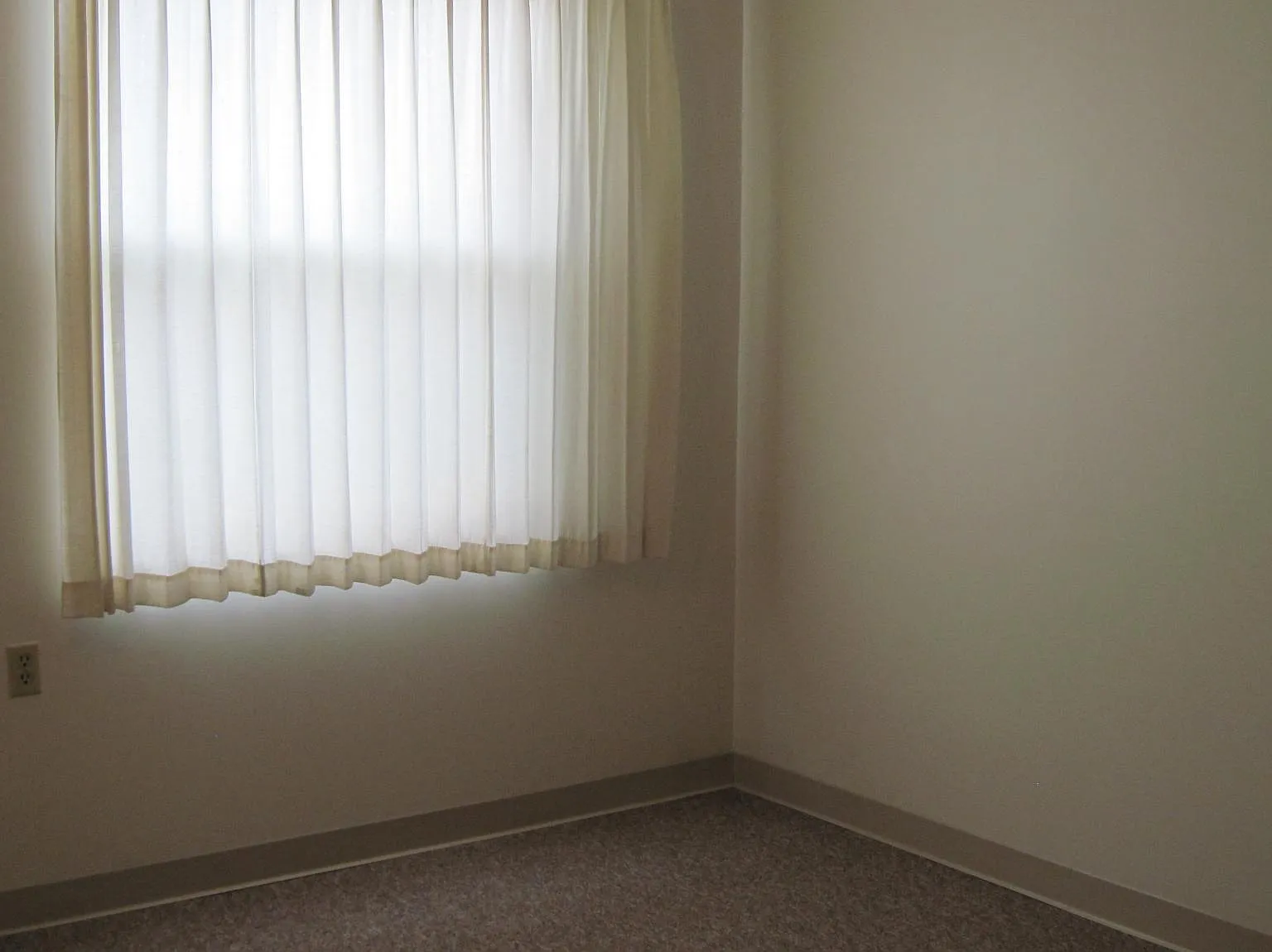 1 bed, 567 sqft, $250 — Photo 3