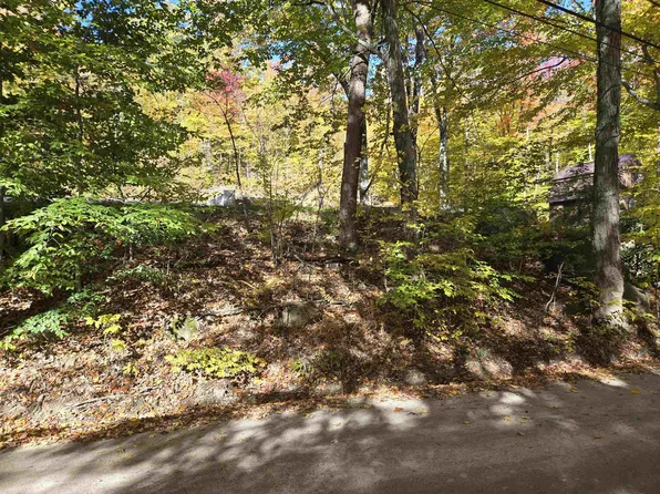1336 Washburn Road, Alexandria, NH 03222