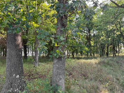 000 State Hwy F, Stotts City, MO, 65756