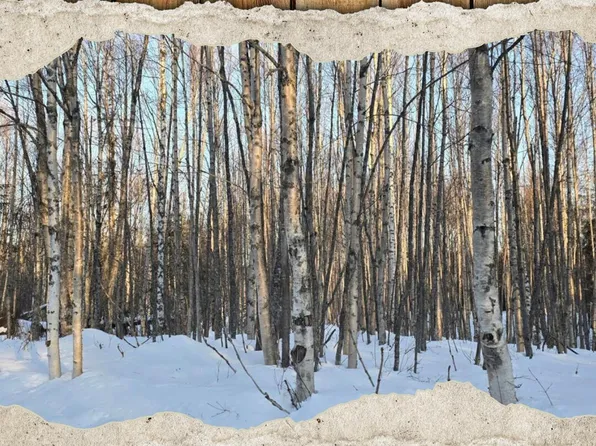 L15-B3 Martille Ave, Kenai, AK 99611