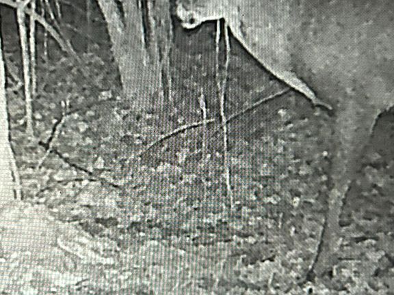 44th image of this home