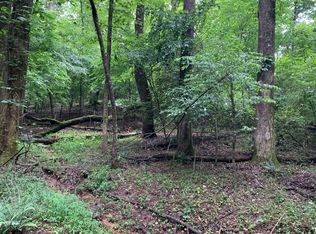 LOT Pleasant Grove Rd, Ellijay, GA 30540