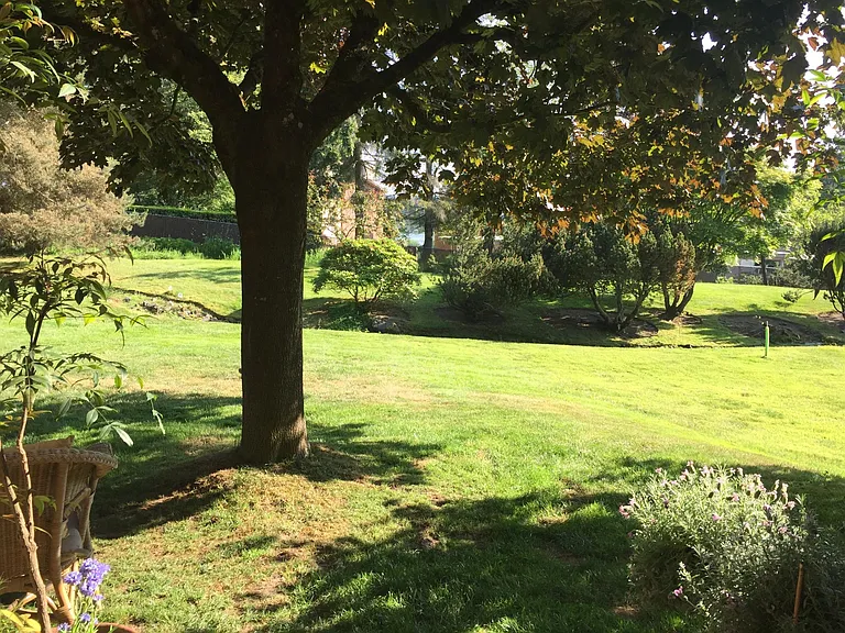 view from the back patio which is on ground level... there is a creek running through the property.