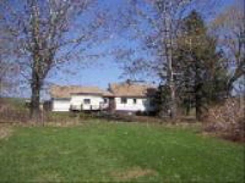 Back yard+ Deck , 3.3 races