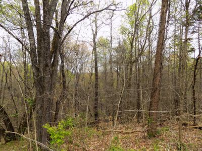 Par 67.03 Alpha Rd, Newport, TN, 37821