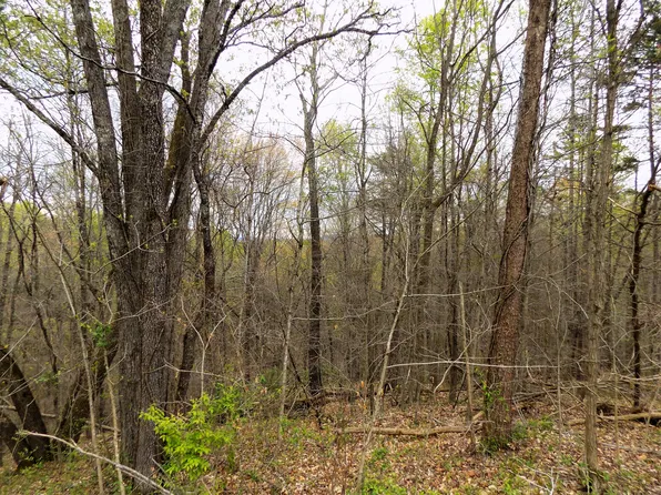 Par 67.03 Alpha Rd, Newport, TN 37821