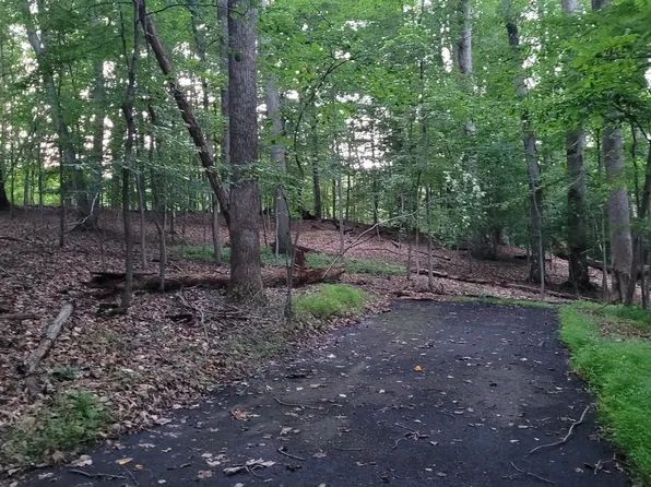 264 Golden Woods Ct, Great Falls, VA 22066