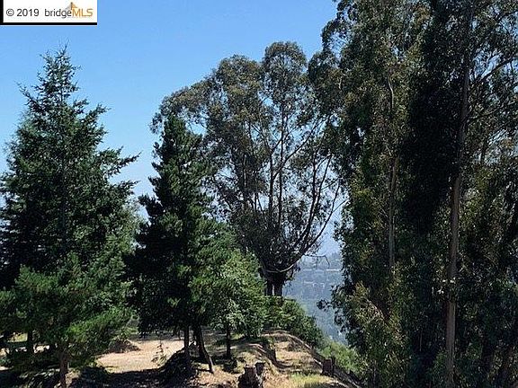 4th image of 7155 Thorndale Dr