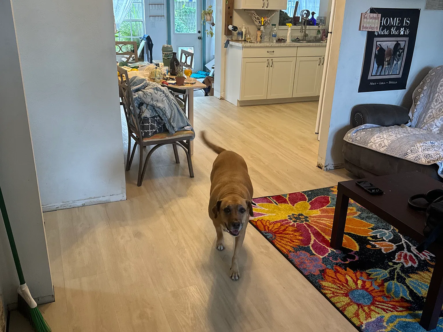 834 Mohawk Ave — Photo 4