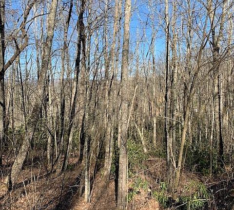 3rd image of LOT 229 Highlands Cove Dr
