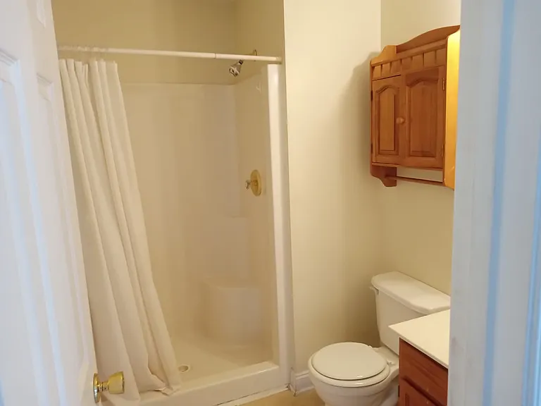 265 Bronze Leaf Dr — Photo 10