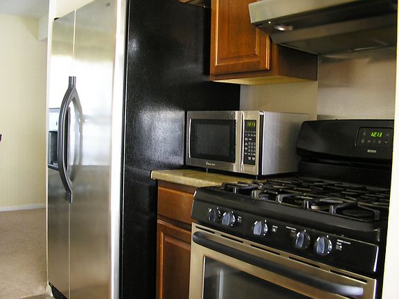 Stainless Steele Appliances 