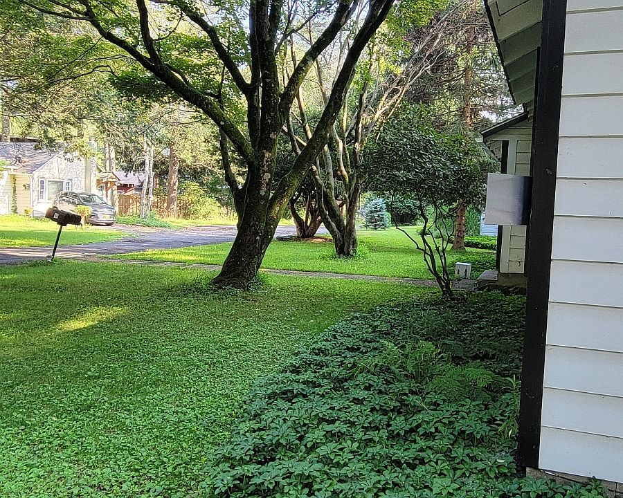 Private road Wolven Lane
Beautiful quiet road with walkway to entrance of Tinker street