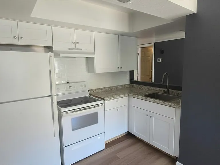 1101 E Roosevelt St #1 — Photo 5