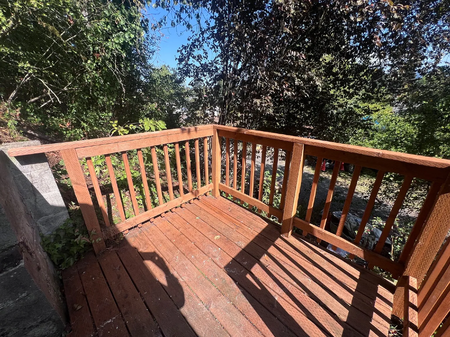 1 bed, 1.0 bath, $1,250 — Photo 3