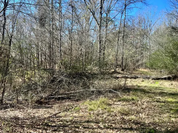 Crooked Creek Rd, Crosby, MS 39633