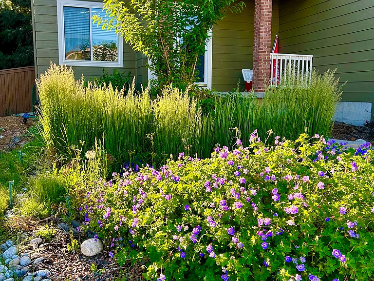 10092 Blackbird Pl — Photo 10