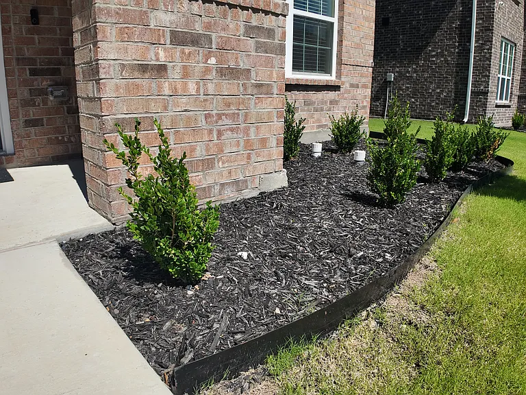 2944 Baneberry Ln — Photo 6