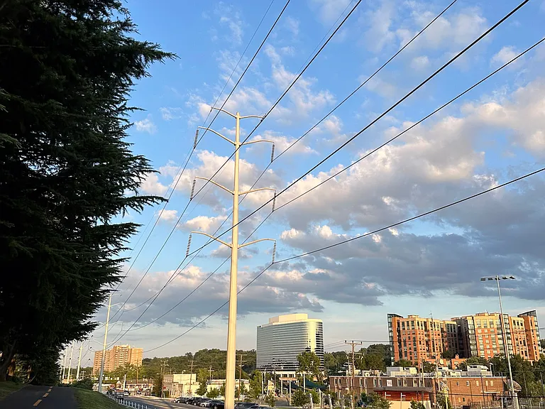 View of Four Mile Run from the jogging trail