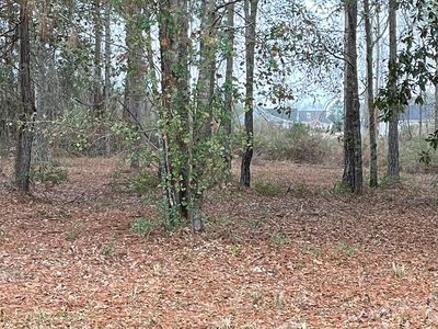 34 Walton Way, Nashville, GA, 31639
