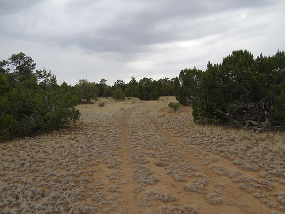Road into property.