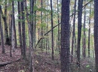 Trt 7 Bear Mountain Rd, Jasper, GA 30143