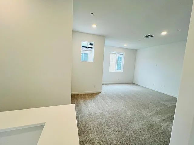 16739 Plantain Way — Photo 52