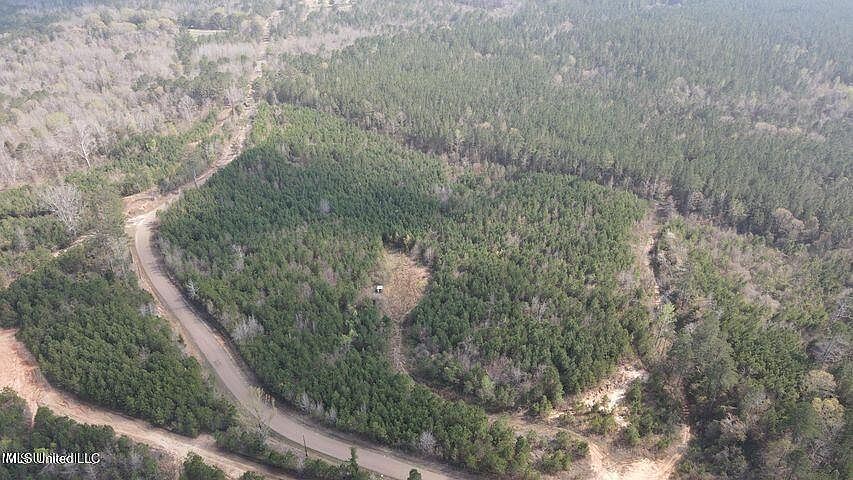 2nd image of Honeysucker Rd