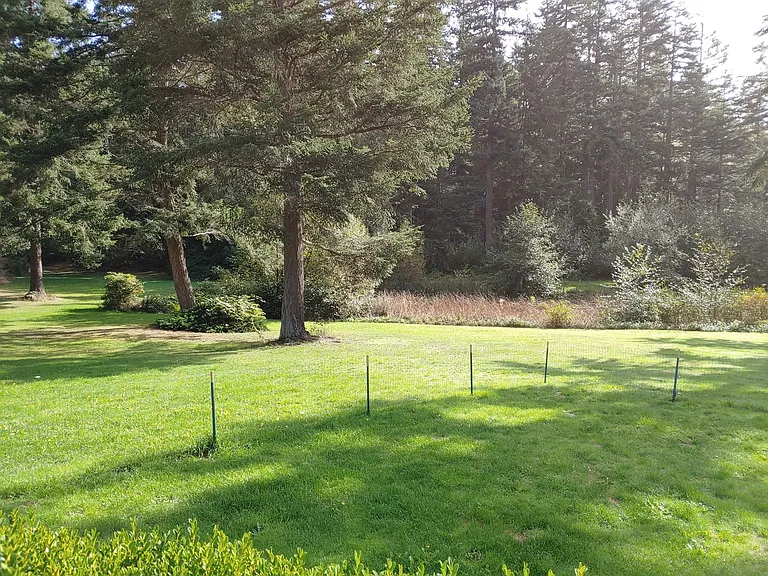 925 Classic Rd — Photo 29