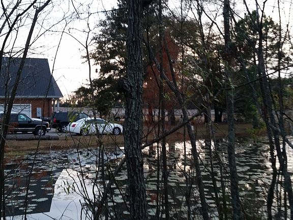 View from around Pond