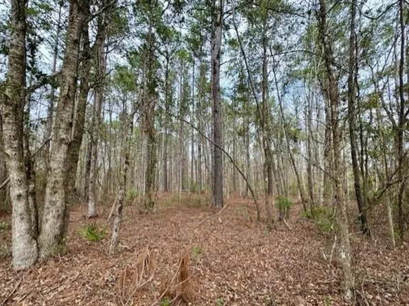 Little Sweet Gum Ln, Callahan, FL 32011