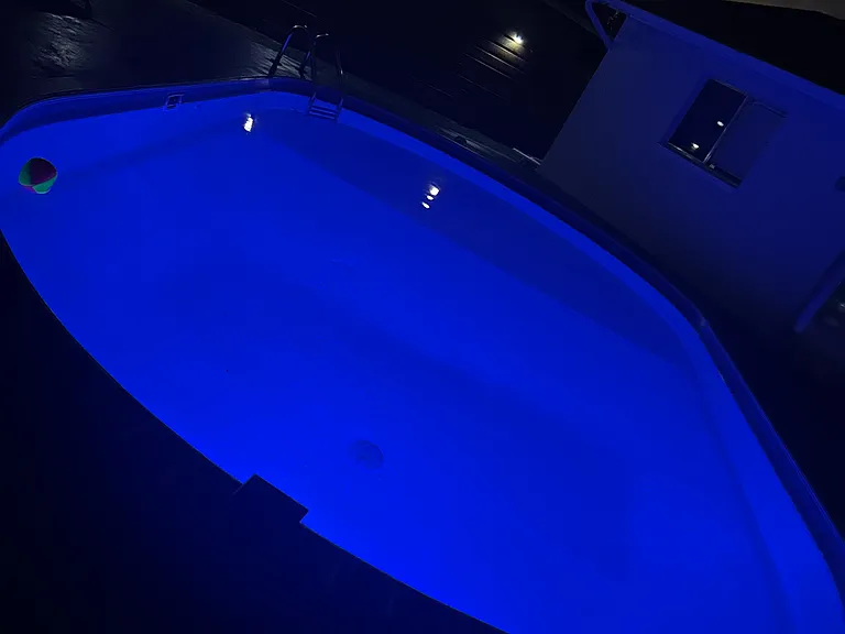 1731 Coral Point Dr — Photo 11