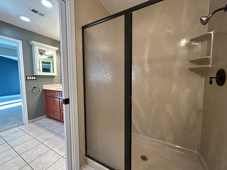 Primary Suite Bathroom Shower