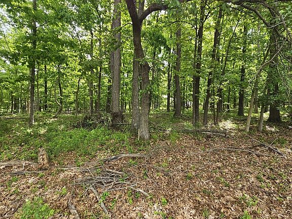 2nd image of 4143 Richview Rd