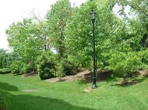 External Landscape View from Patio