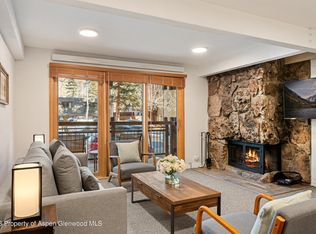 131 E Durant Ave #104, Aspen, CO 81611